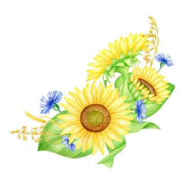 Watercolor yellow and blue flowers illustration. Hand painted sunflowers, cornflowers and wheat spikelets bouquet. Summer wedding botanical arrangement illustration isolated on white