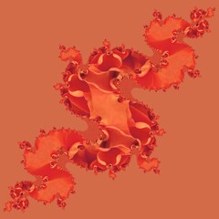 peach coloured orange rose creative abstract design