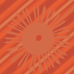 peach coloured orange rose creative abstract design