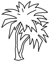 Palm tree with green leaves. Exotic tropical jungle hot summer holiday, Travel outdoor to south in nature forest to spa relax. Hand drawn retro vintage illustration. Old style cartoon drawing.