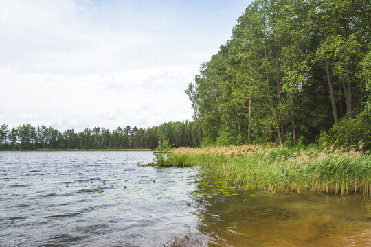 Rytoe lake, Smolensk lakeland landscape