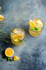 citrus lemonade with mint and lemon in the glass with ice cubes.