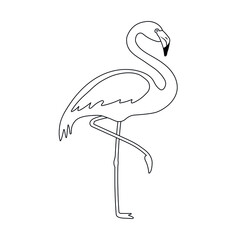 Vector flat outline flamingo isolated on white background