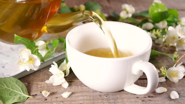 Herbal jasmin flower tea. Jasmine green tea in glass teapot and white tea cup, with fresh jasmin blossom