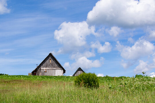 an old wooden house among the grass in the field. Summer landscape