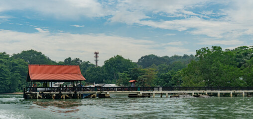 Obraz premium Pulau Ubin Island Jungle Singapore