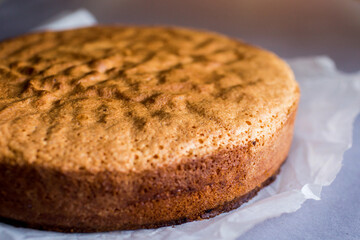 Biscuit homemade pie close-up. Сake preparation. Illustration for a recipe.