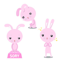 Obraz na płótnie Canvas Rabbit pink Sad, Sory and Appreciate