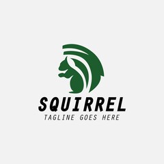 Fototapeta premium Squirrel logo design template . Vector illustration