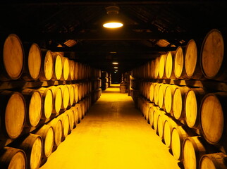 Whiskey wooden barrels in basement hall with yellow light.