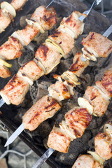 shashlik, kebab or barbecue (B-B-Q):
mouth-watering pieces of meat strung on skewers and grilled on the grill
