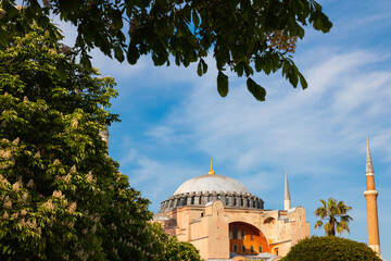 Istanbul in summer. Hagia Sophia or Ayasofya with trees. Travel to Turkey