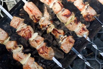 shashlik, kebab or barbecue (B-B-Q):
mouth-watering pieces of meat strung on skewers and grilled on the grill