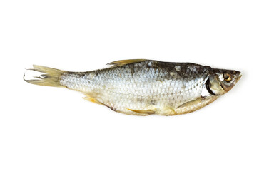Dried roach. Fish close up. Isolated on a white background