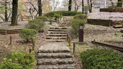 Tokyo park