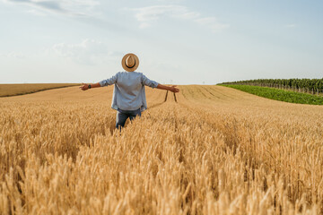 Naklejka na ściany i meble Happy farmer with arms outstretched standing in his growing wheat field. 