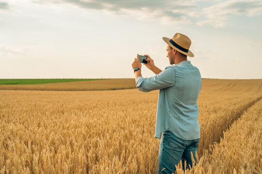 Happy farmer photographing crops with phone while standing in his growing  wheat  field.