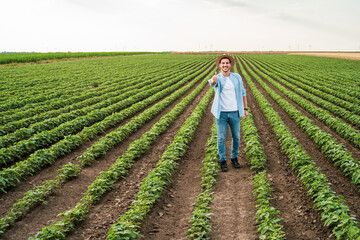 Happy farmer is standing in his growing  soybean field and showing thumb up.