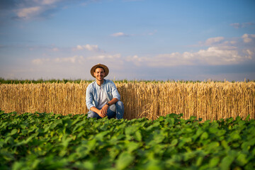 Fototapeta premium Happy farmer enjoys in his growing wheat and soybean field.