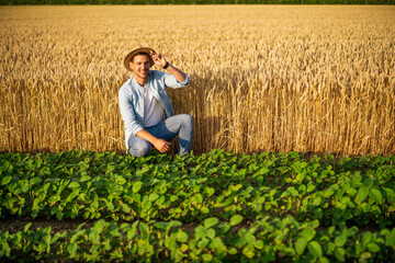 Naklejka na ściany i meble Happy farmer enjoys in his growing wheat and soybean field.
