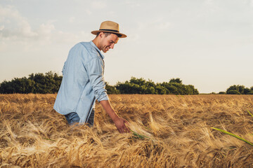 Happy farmer is standing in his growing barley field.