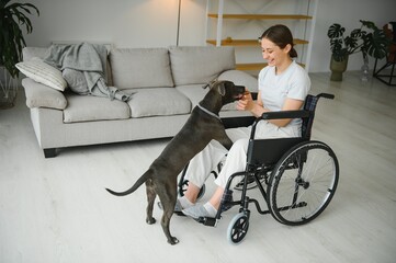 Young woman in wheelchair with service dog at home.