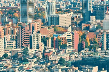 Tokyo cityscape. Vintage filter image.