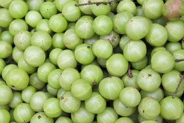 gooseberry stock on shop for sell