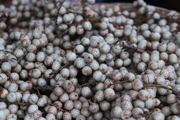 rattan fruit stock on shop