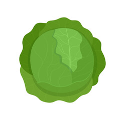 Obraz premium Cabbage. Fresh and healthy food. Vector illustration of cartoon organic vegetable.