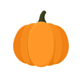 Pumpkin on white background. Vector illustration of cartoon organic vegetable.