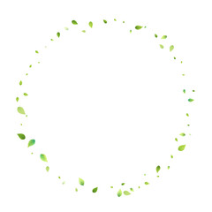 Leaves Green Falling Flying Foliage Leaf Tea Mint