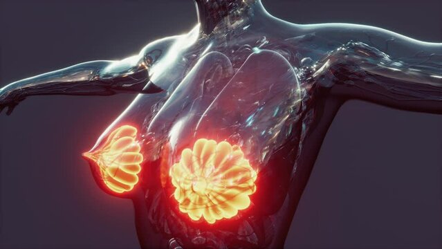 science anatomy of human body with glow mammary gland