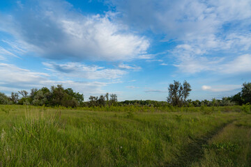 Fototapeta na wymiar Ukrainian morning steppe field on a background of blue sky