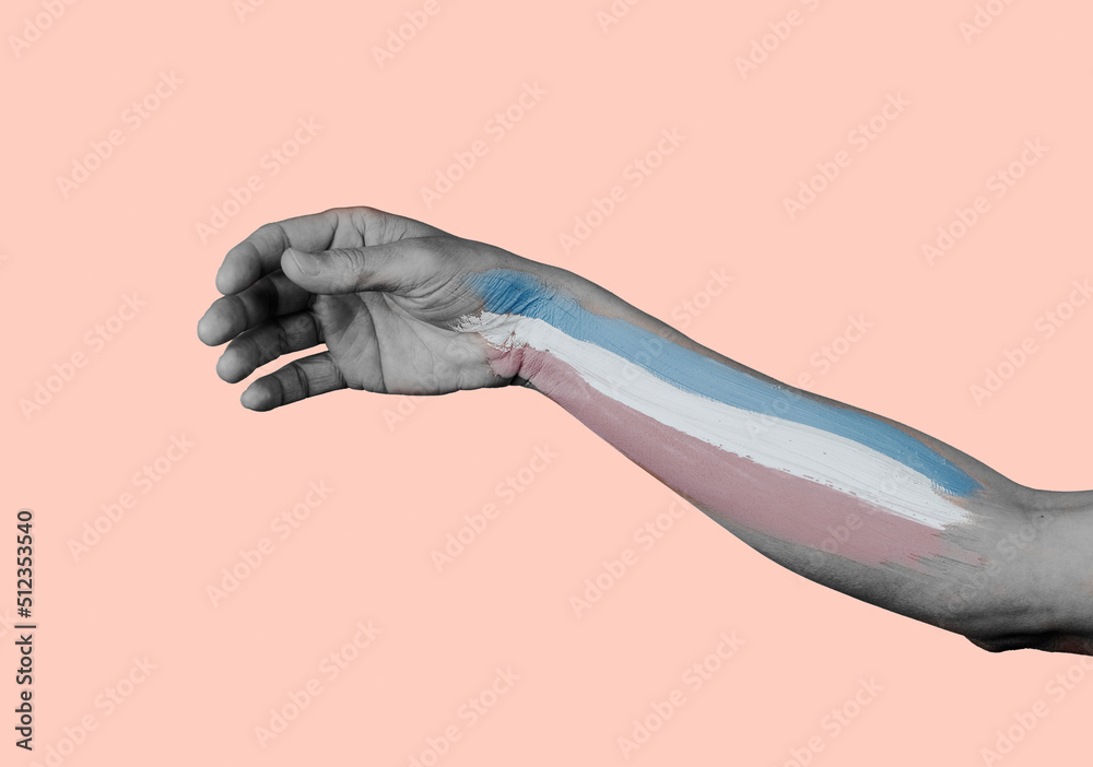 Wall mural transgender pride flag painted in the arm