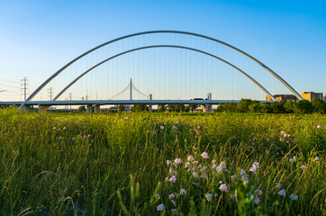 Naklejka premium Downtown Dallas Bridges