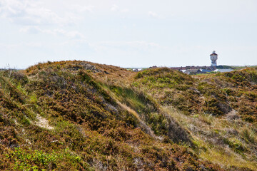 Fototapeta na wymiar Langeoog panorama