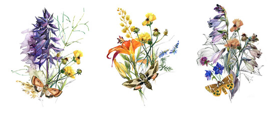 watercolor flowers bouqet set. floral illustrations. Botanical composition. Branch of flowers. Summer flowers
