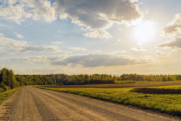 Empty Sandy country road near the forest,fluffy clouds,summer evening sunset landscape.