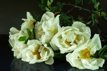 Bouquet of white roses on the table with reflection