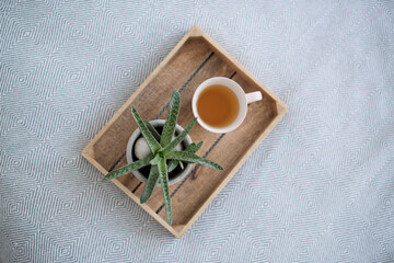 Obraz na płótnie Canvas A tray with a mug of tea and a plant in the interior