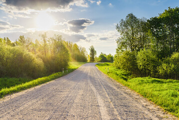 Fototapeta na wymiar Empty Sandy country road near the forest,fluffy clouds,summer evening sunset landscape.