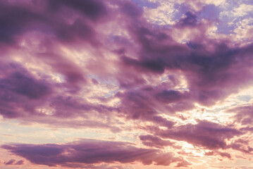 Naklejka na ściany i meble Dramatic sunset sky with burning purple clouds. Beautiful nature fluffy violet cloud background.