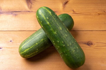 加賀太きゅうり