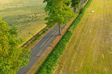 Prosta asfaltowa droga wśród łąk i pól uprawnych pokrytych suchą, żółtą trawą i balotami z sianem. Na poboczu rosną wysokie drzewa. Zdjęcie z drona. - obrazy, fototapety, plakaty