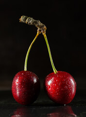 Stock Photo on the subject close up, macro. Large ripe cherries, moist with water