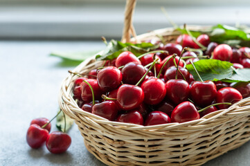 Fresh ripe organic red cherries in a basket, heap of summer fruits concept