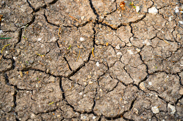 Dry soil with cracks, lack of water and drought.
