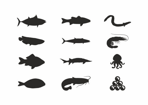 Seafood and fish icon set. Fish silhouettes black on white.