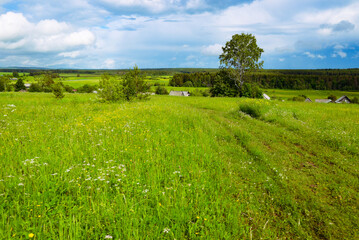 summer rural landscape with grass trees and a village in the distance